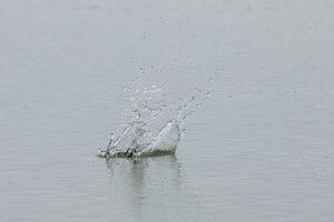 Bibione_7DMII_2015-04-26_0913